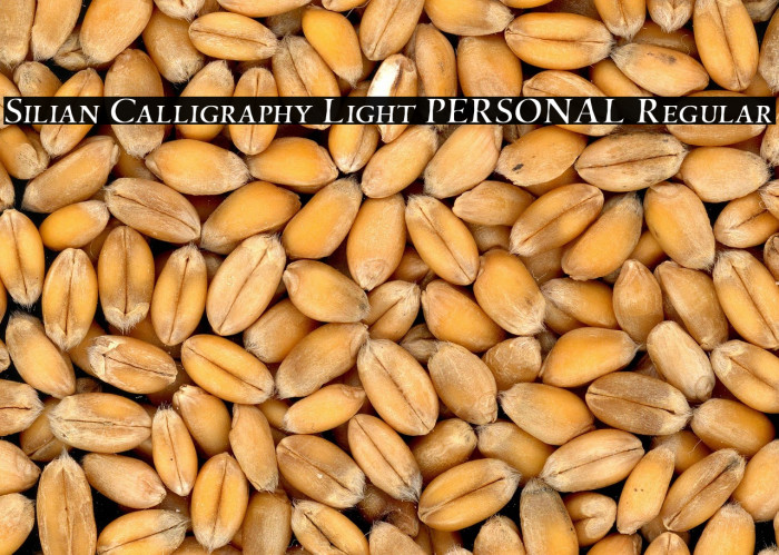 Silian Calligraphy Light PERSONAL Regular Example 3