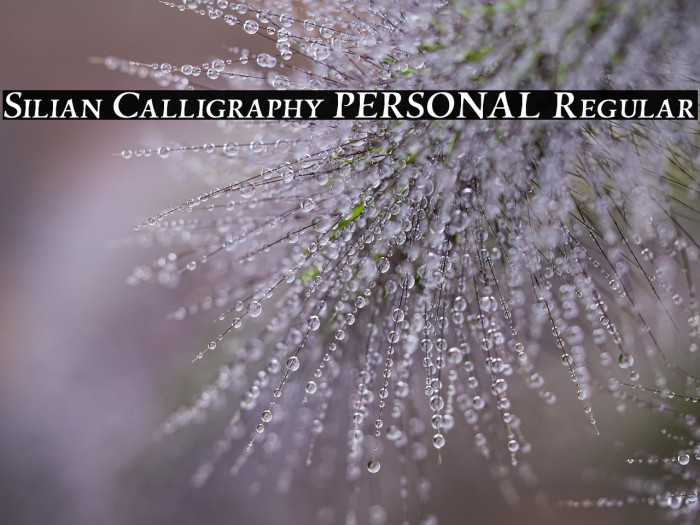 Silian Calligraphy PERSONAL Regular Example 2