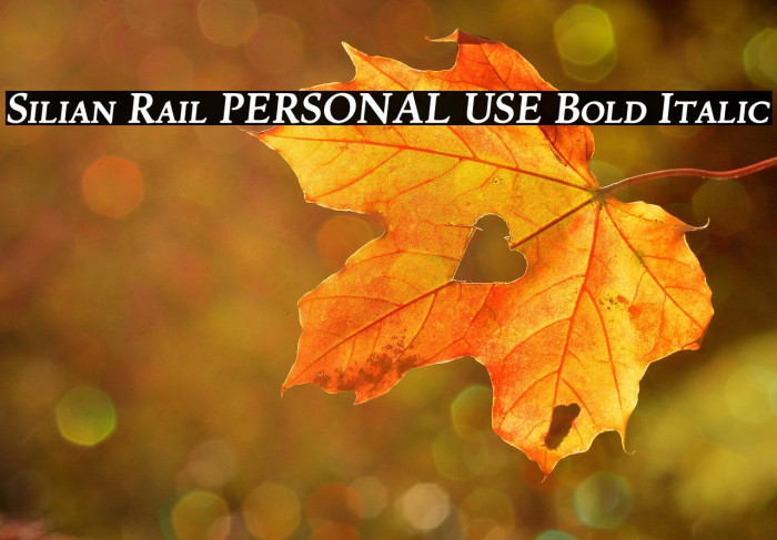 Silian Rail PERSONAL USE Bold Italic Example 3