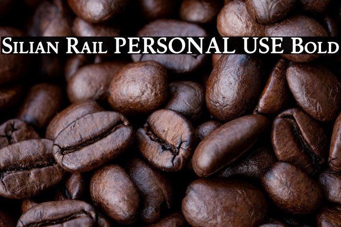 Silian Rail PERSONAL USE Bold Example 1