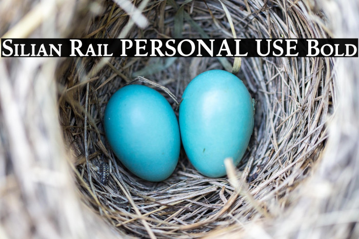 Silian Rail PERSONAL USE Bold Example 3