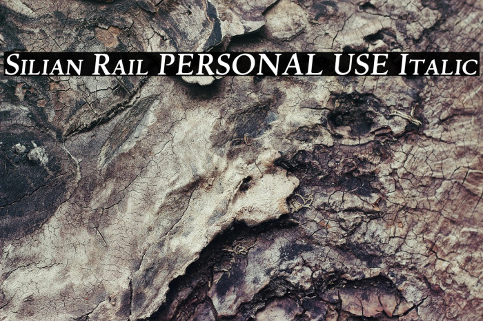Silian Rail PERSONAL USE Italic Example 1