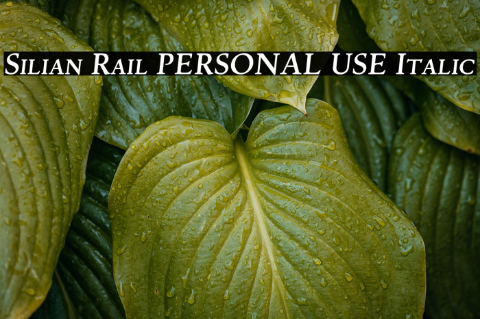 Silian Rail PERSONAL USE Italic Example 2