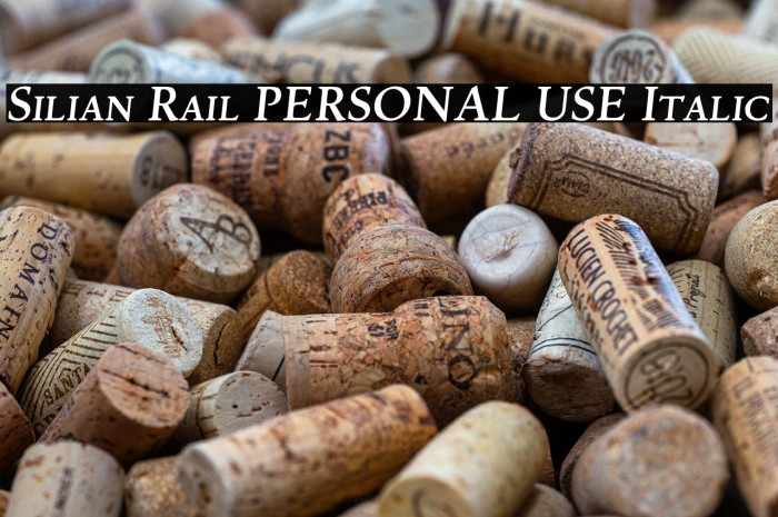 Silian Rail PERSONAL USE Italic Example 3