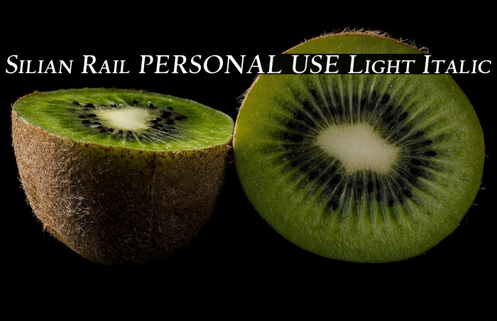 Silian Rail PERSONAL USE Light Italic Example 3