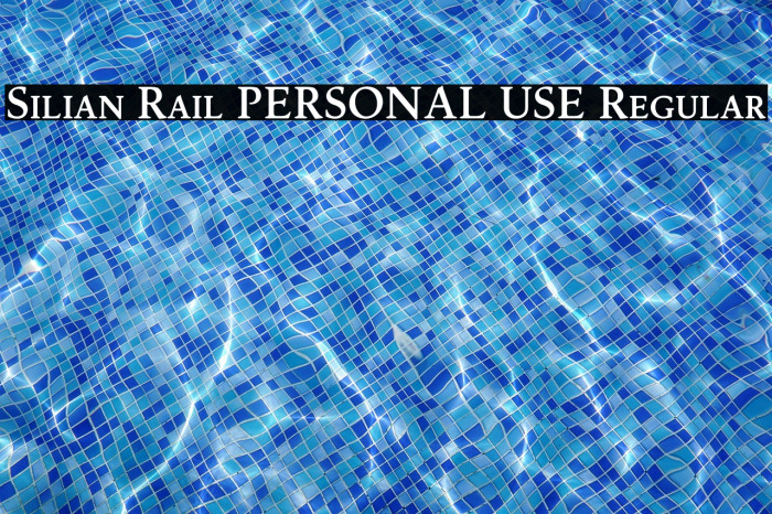 Silian Rail PERSONAL USE Regular Example 1