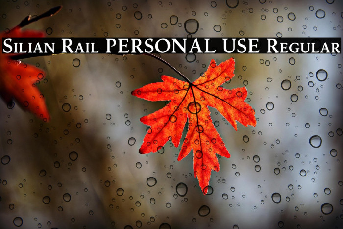 Silian Rail PERSONAL USE Regular Example 2
