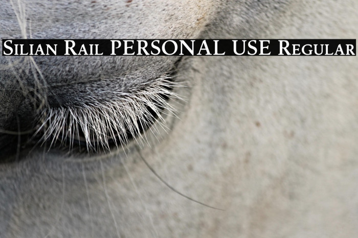 Silian Rail PERSONAL USE Regular Example 3