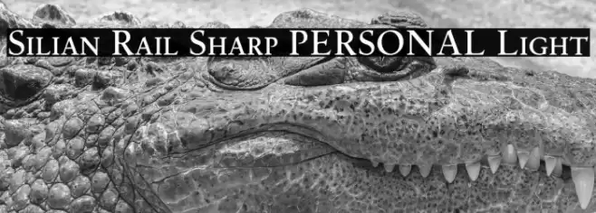 Silian Rail Sharp PERSONAL Light Font examples