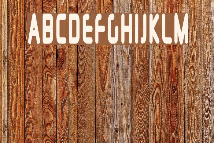 Silicon Carne Font examples