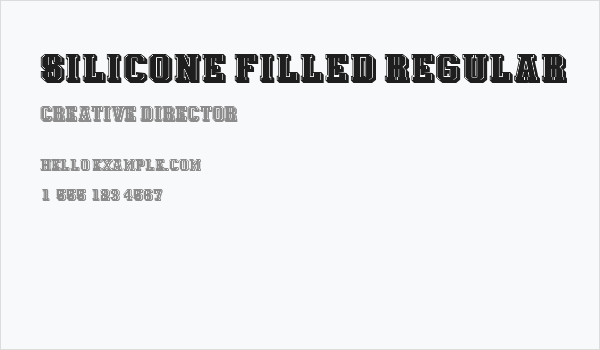 Silicone Filled Regular Business Card
