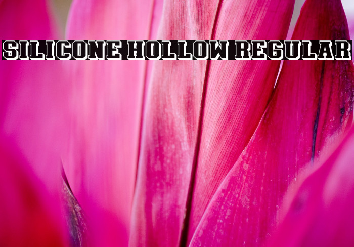Silicone Hollow Regular Font examples