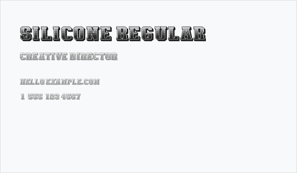 Silicone Regular Business Card