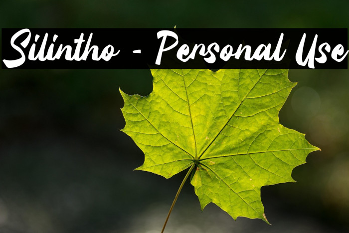 Silintho - Personal Use Example 1