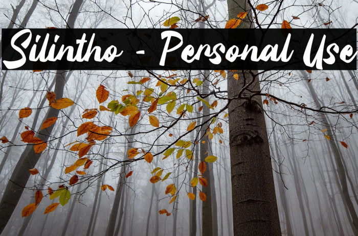 Silintho - Personal Use Example 2