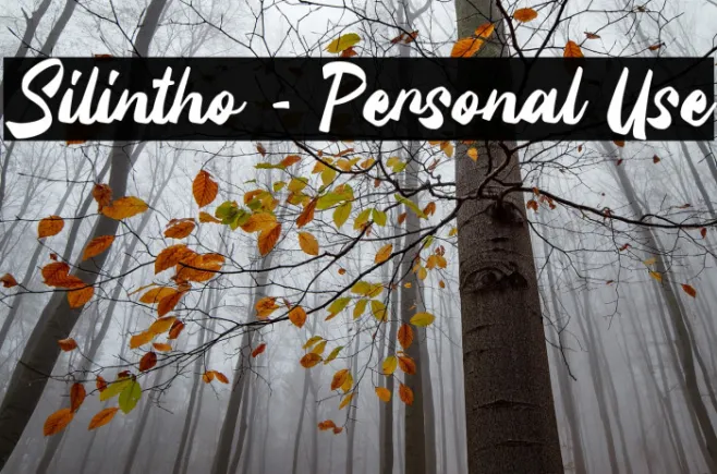 Silintho - Personal Use Example 2