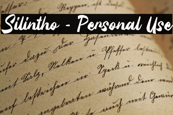 Silintho - Personal Use Example 3