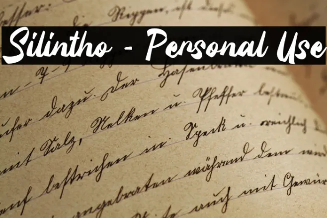 Silintho - Personal Use Example 3