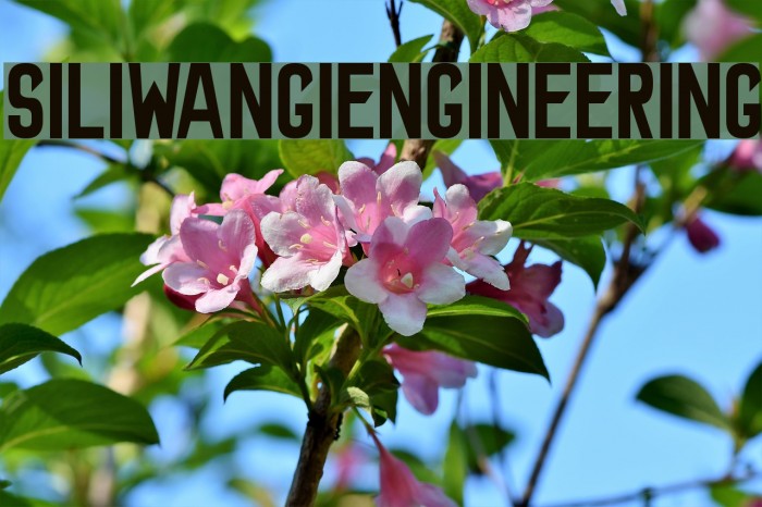 SiliwangiEngineering Font examples