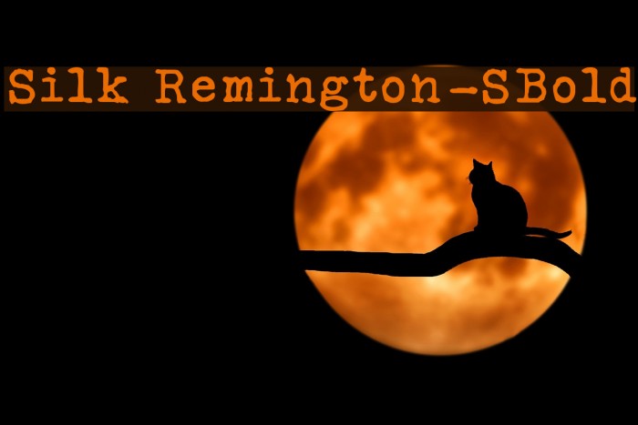 Silk Remington-SBold Example 1