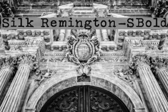 Silk Remington-SBold Font examples