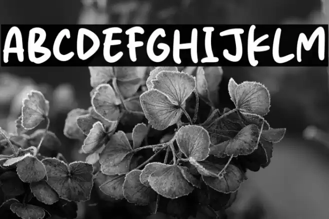 Silk Rose Font examples