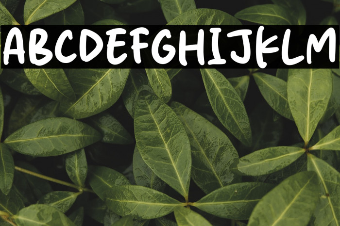 Silk Rose Font examples