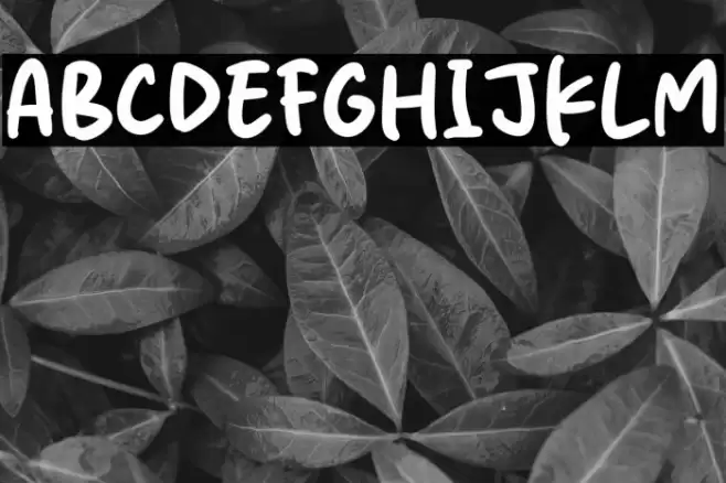 Silk Rose Font examples