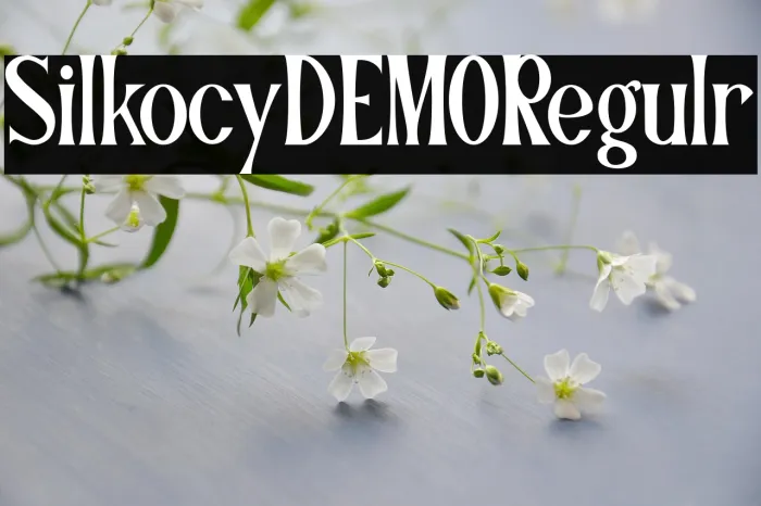 Silkocy DEMO Regular Example 1