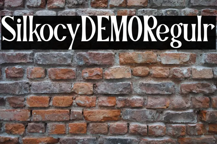 Silkocy DEMO Regular Example 3