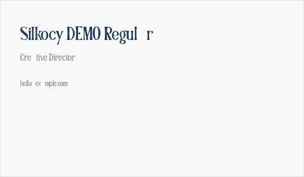 Silkocy DEMO Regular Business Card