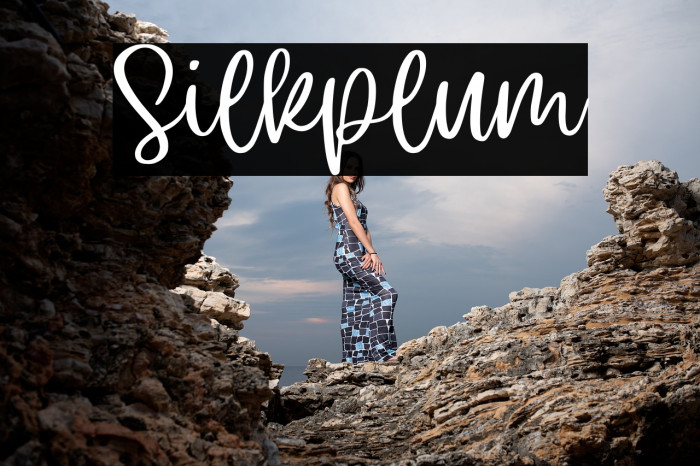 Silkplum Example 1