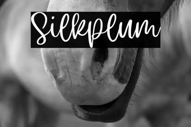 Silkplum Fuentes examples