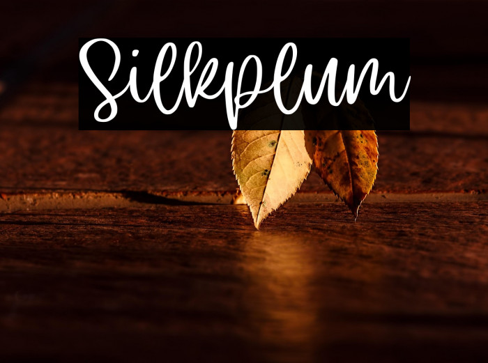 Silkplum Example 3