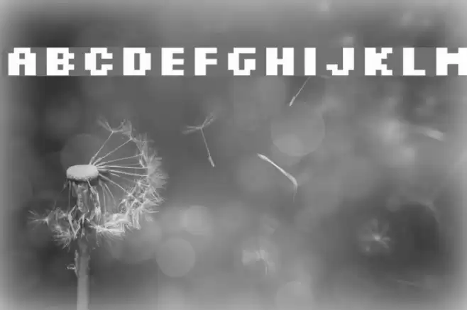 Silkscreen Bold Font examples