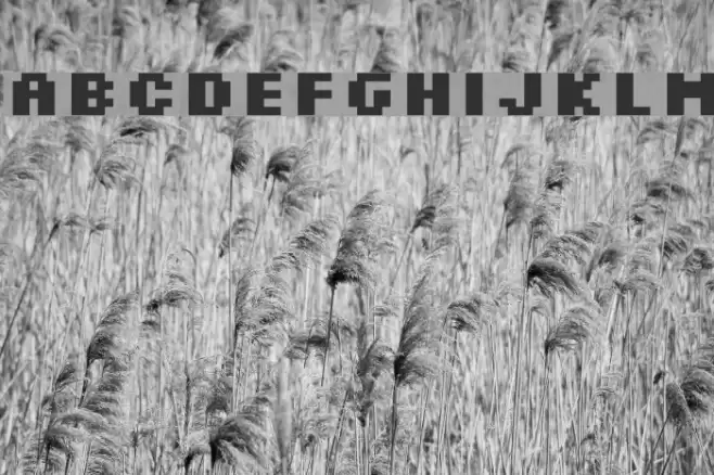 Silkscreen Bold Font examples