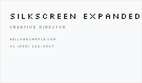 Silkscreen Expanded Business Card