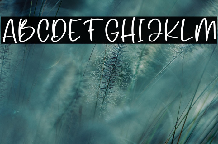 Silky Daisy Personal Use Example 1