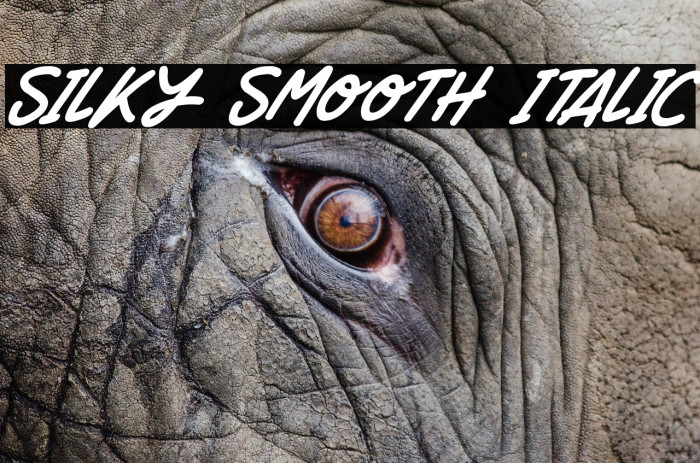 Silky Smooth Italic Font examples