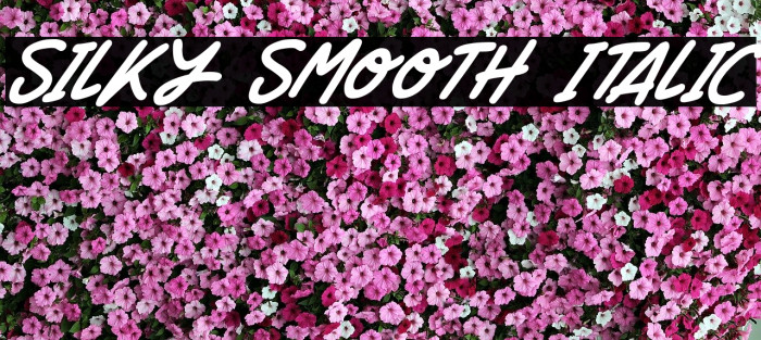 Silky Smooth Italic Font examples