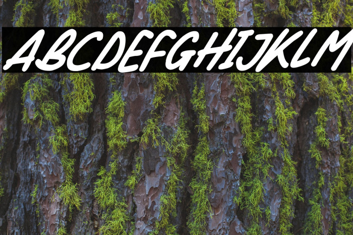 Silky Smooth Italic Font examples