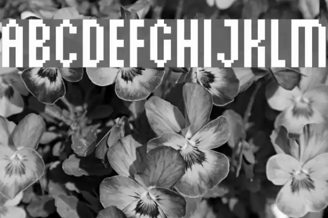 Silky Wonderland Font examples