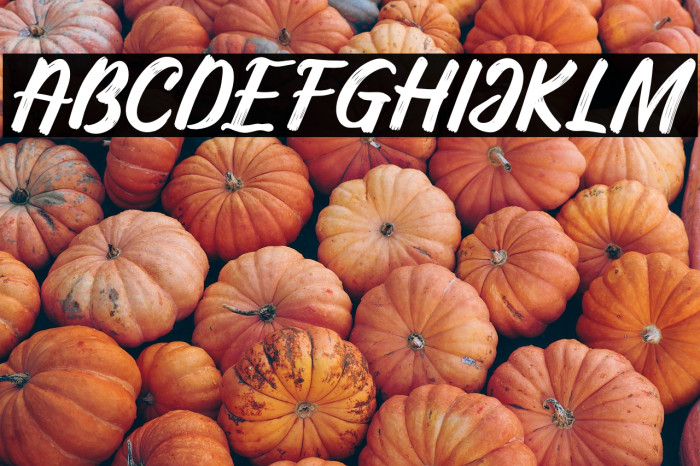 Silky&Milky-Regular Example 1