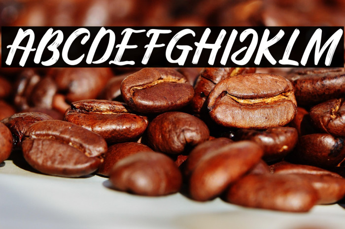 Silky&Milky-Regular Example 2