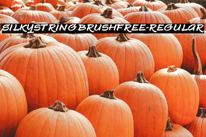 SilkystringBrushFREE-Regular Example 1