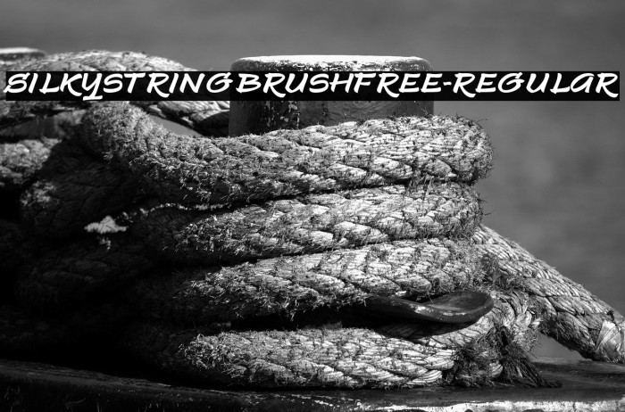 SilkystringBrushFREE-Regular Example 3