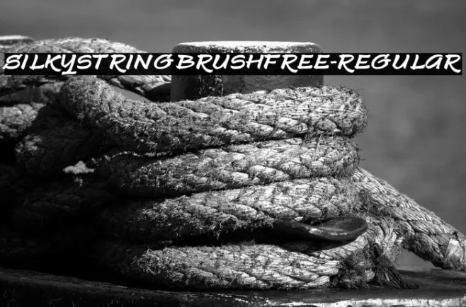 SilkystringBrushFREE-Regular Example 3