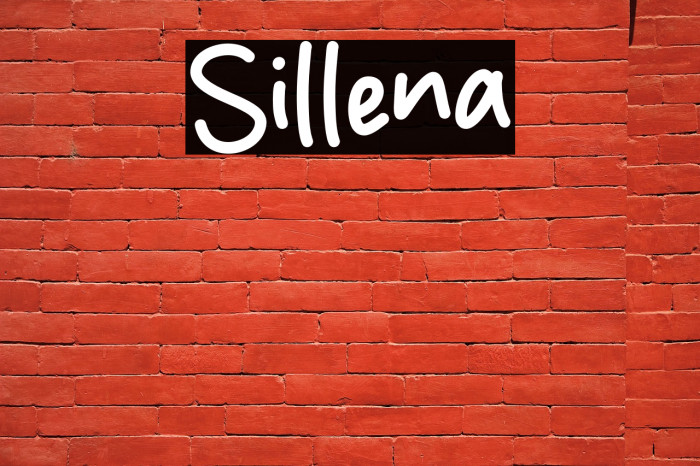 Sillena Example 1