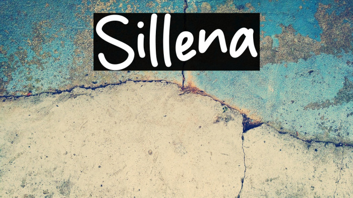 Sillena Example 2