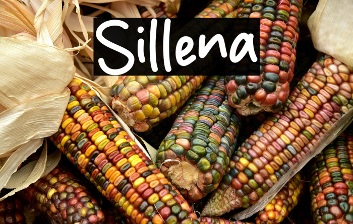 Sillena Example 3